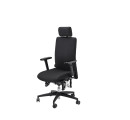 BIOSWING 260 iQ Bürostuhl – ergonomischer Schwingstuhl mit 60 cm Rückenlehne