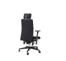 BIOSWING 260 iQ Bürostuhl – ergonomischer Schwingstuhl mit 60 cm Rückenlehne