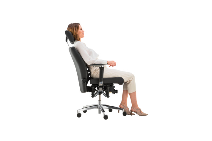 Haider BIOSWING 560 iQ Detensor – Prestige M, Comfort+ TM Lamelle, Nacken- & Lumbalstütze