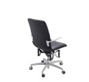 Haider BIOSWING LOOP Bürostuhl – Beckenbalance & feste Armlehnen